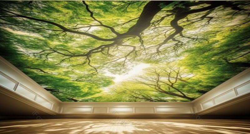 大自然场景树叶植物广告背景,高清,摄影图,摄影图片,图片大全,摄影图免费下载